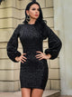 Sequin O Neck Flare Sleeve Bodycon Mini Dress