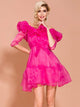 Rose Red Petal Neckline Mini Party Tutu Dress